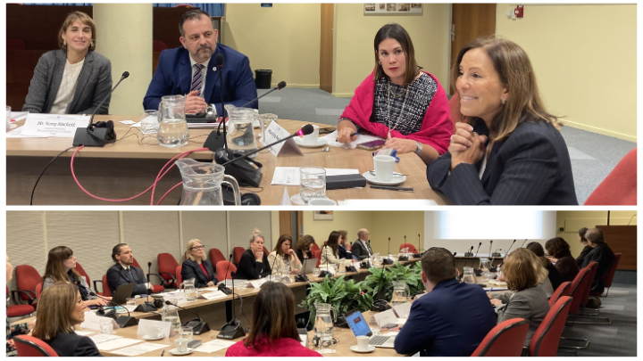  President Gatti Santana hosts meeting with representatives of the International Committee of the Red Cross and enforcement States