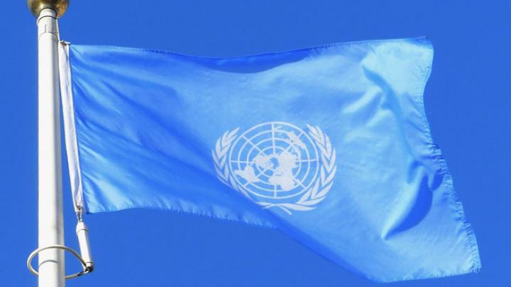 UN flag