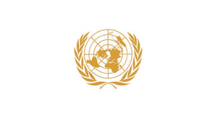 UN golden logo