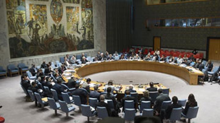 UN Security Council