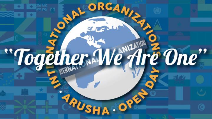 International Organizations Day