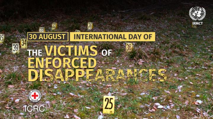  International Day of the Victims of Enforced Disappearances