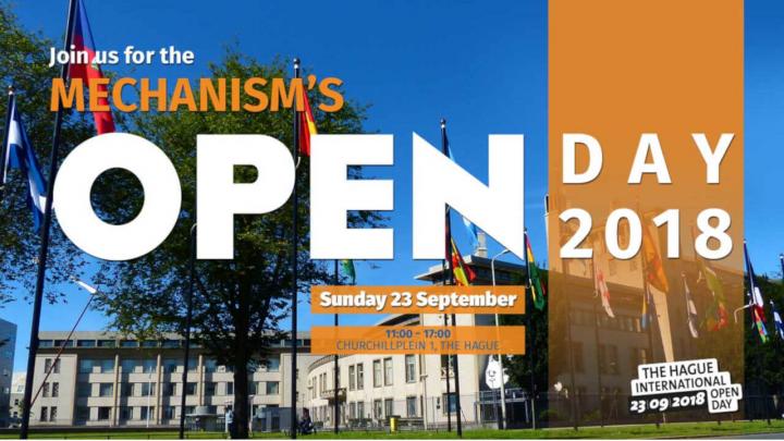 The Hague International Open Day