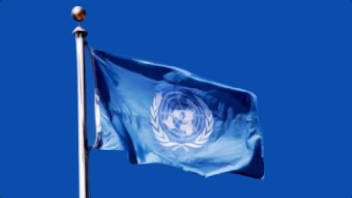 UN flag