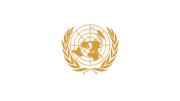 UN golden logo