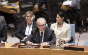President Carmel Agius | UN Photo/Mark Garten