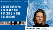 MIP hosts third ICC Moot Court workshop for Sarajevo law students