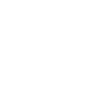 IRMCT logo